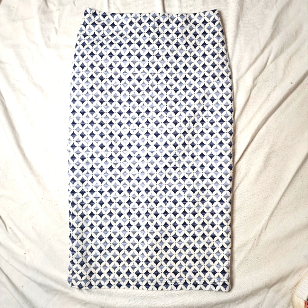 Zara Pencil Skirt
